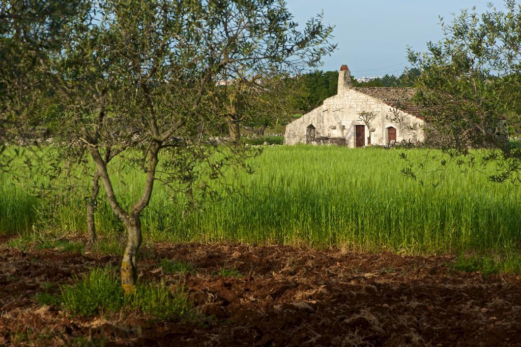 Masseria Ciavea Gioia Del Colle Εξωτερικό φωτογραφία