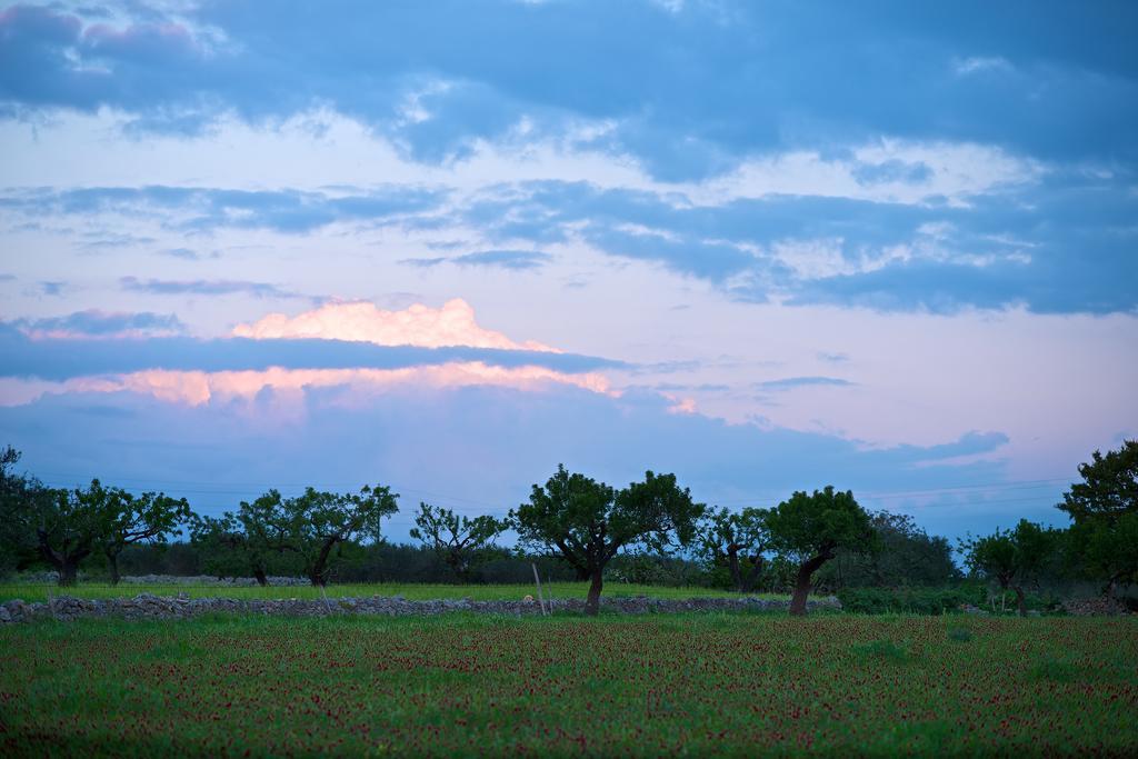 Masseria Ciavea Gioia Del Colle Εξωτερικό φωτογραφία